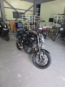 MT03