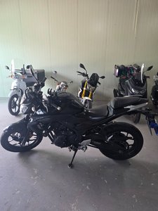 사진 5