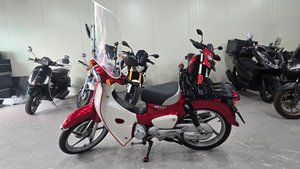 사진 5