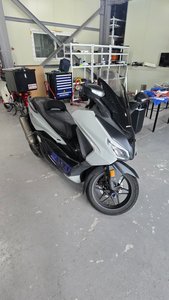 포르자 350