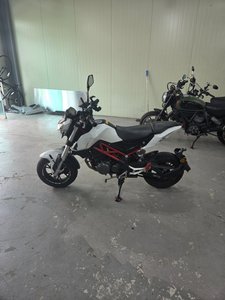 사진 6
